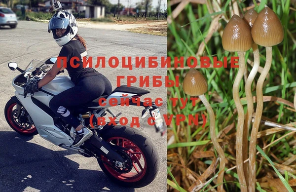амф Михайловск