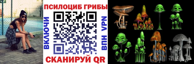 Псилоцибиновые грибы мицелий  Чайковский 
